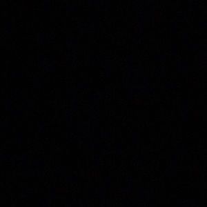 Meet your Posher, Lily